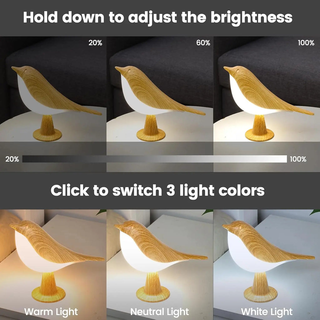 LED oiseau